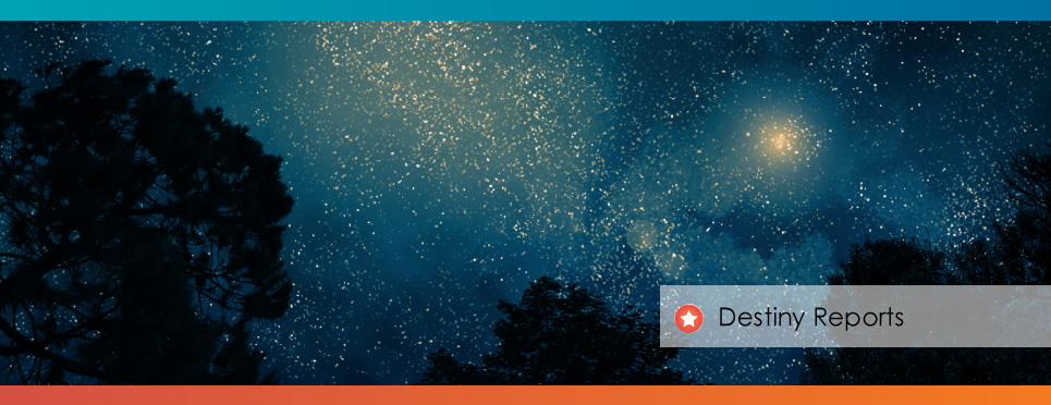 Night sky filled with stars above silhouetted trees.
