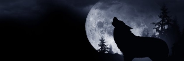 LEO & FULL “WOLF MOON” CEREMONY