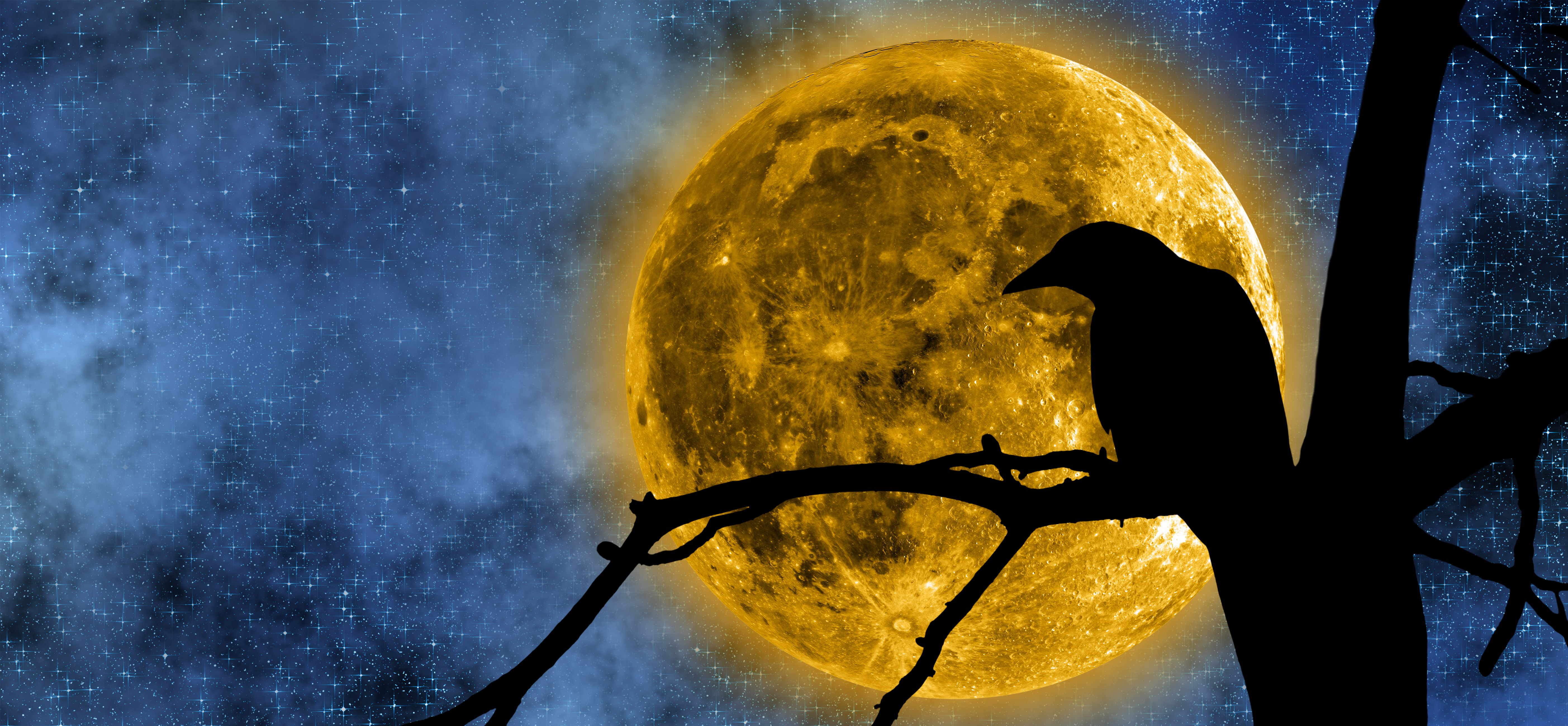 Crow Full Moon in Virgo