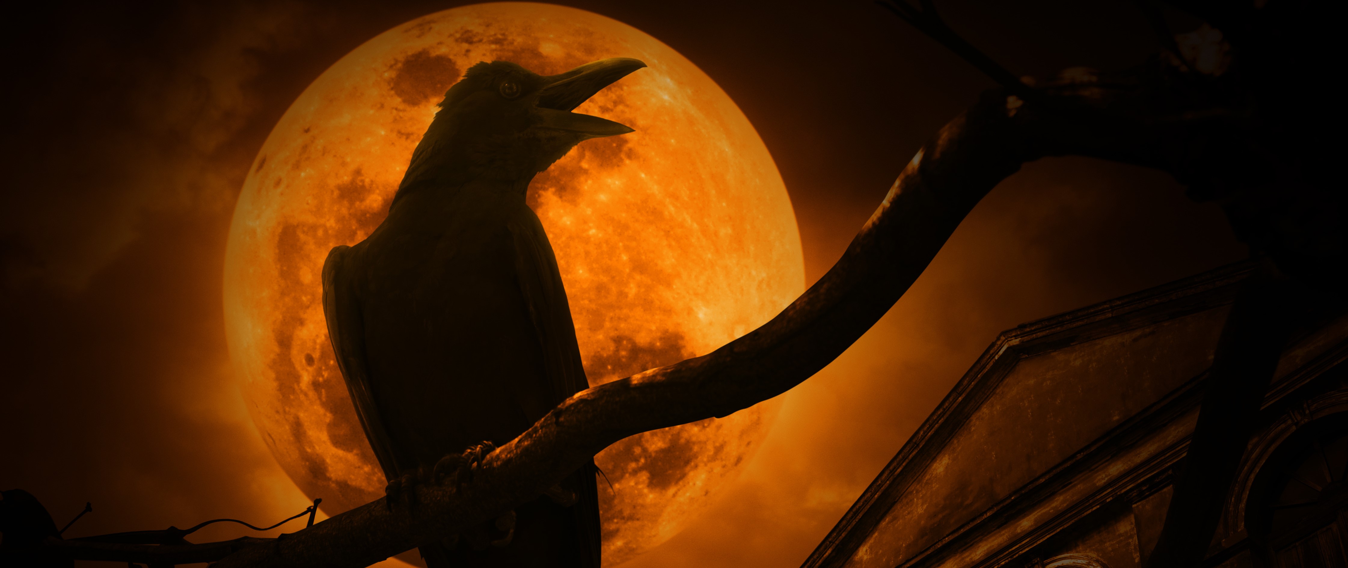 Crow Full Moon in Virgo