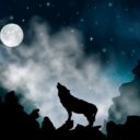 The First Full Moon of 2023: The Dog Star and the Wolf