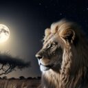 Courage and the Leo Full Moon