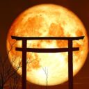 Sacred Devotion and the Virgo Full Moon