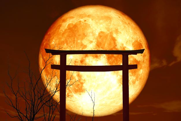 Sacred Devotion and the Virgo Full Moon