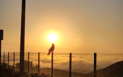 The Cardinal Full Moon falls in the Relationship Sign of Balance — Libra