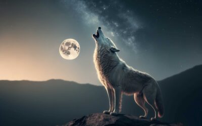 The First Full Moon of 2024 is a Wolf Moon